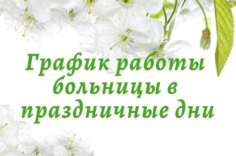 grafik raboti v prazdniki