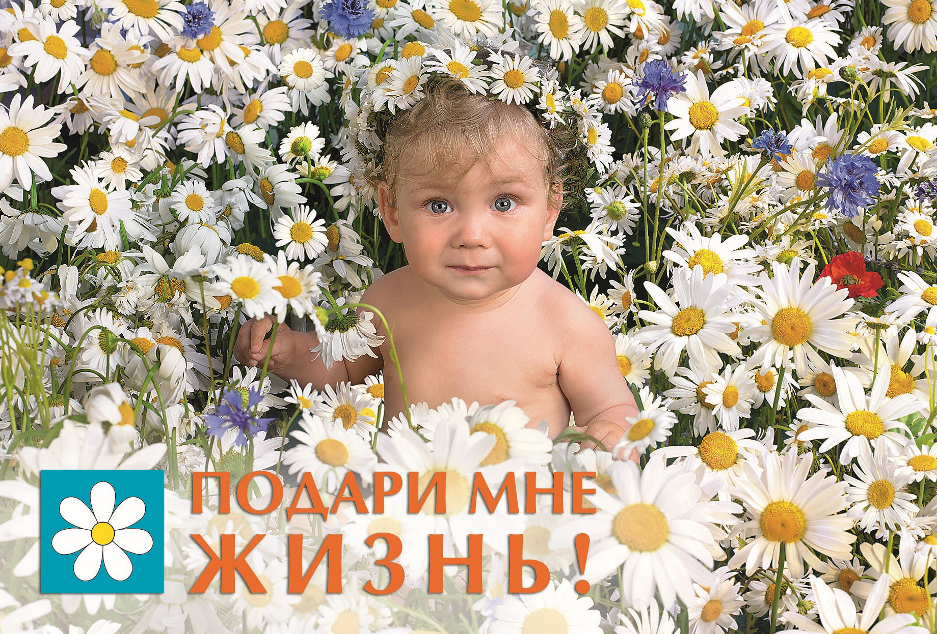 plakat 2 malchik jpg